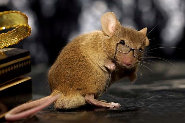 «Умная» мышь