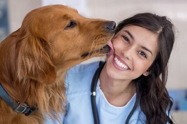 Почему медики рекомендуют избавиться от привычки целовать собаку