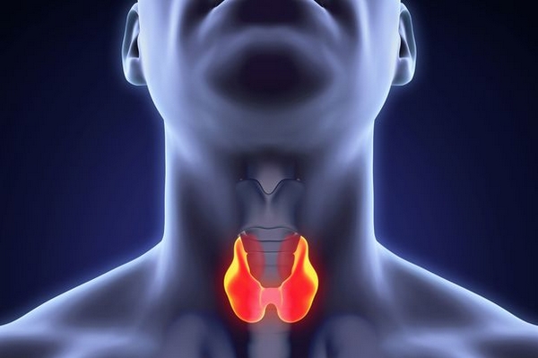Щитовидная железа и потенция – есть ли связь?