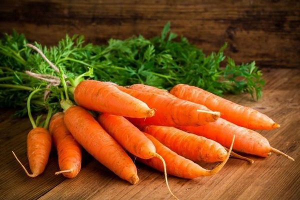 Выбор сорта моркови