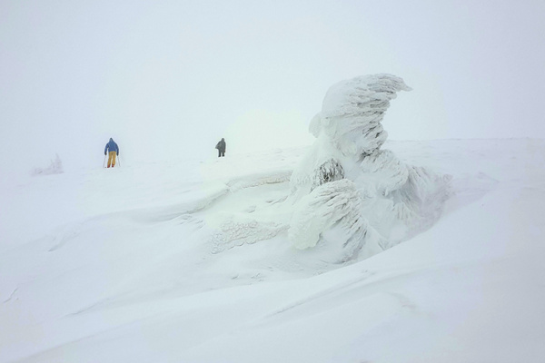 Зимний лук самого высокого горнолыжного курорта Украинских Карпат