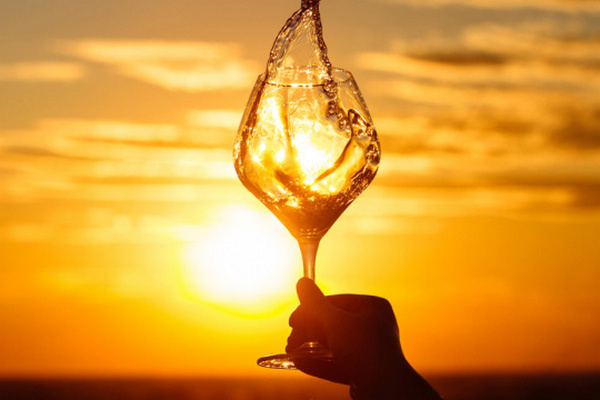 На Закарпатье внедряют новую традицию винопития