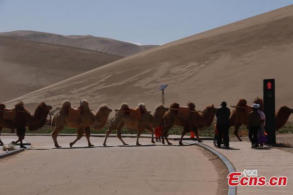 В китайской туристической местности установили светофор для верблюдов