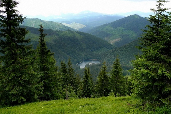 Карпатские горы Украины