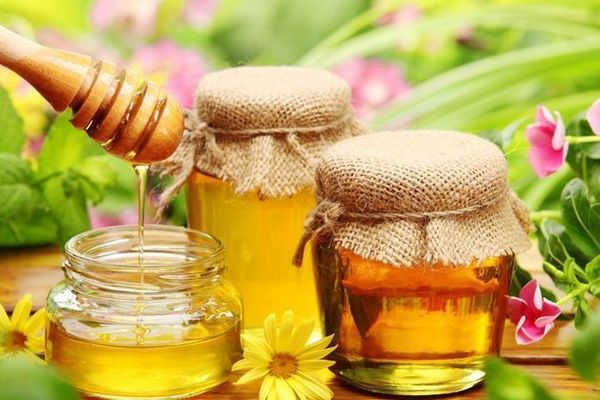 Как мед поможет предотвратить цистит?