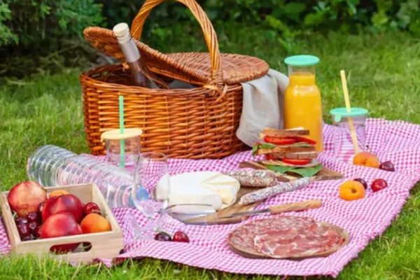 Как рассчитать продукты на пикник, чтобы не быть голодным и не осталось лишнего