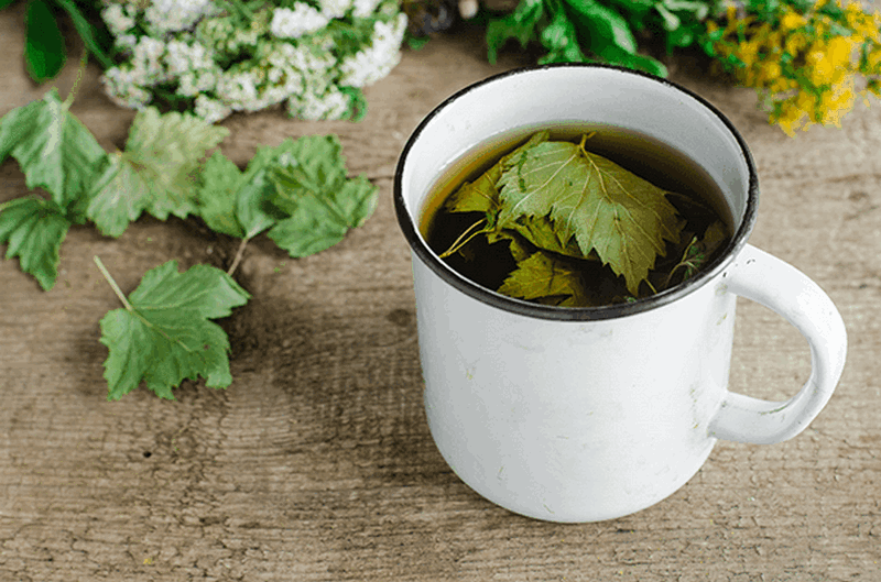 Вкусный и полезный чай из листьев черной смородины