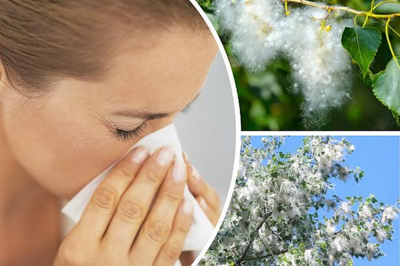 Эффективный и простой метод лечения большинства аллергий