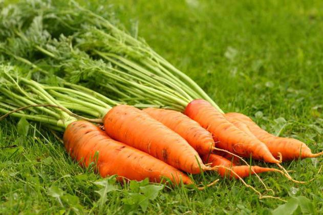 Не выкидывайте морковную ботву