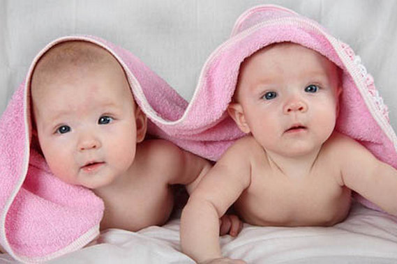 Почему рождаются близнецы