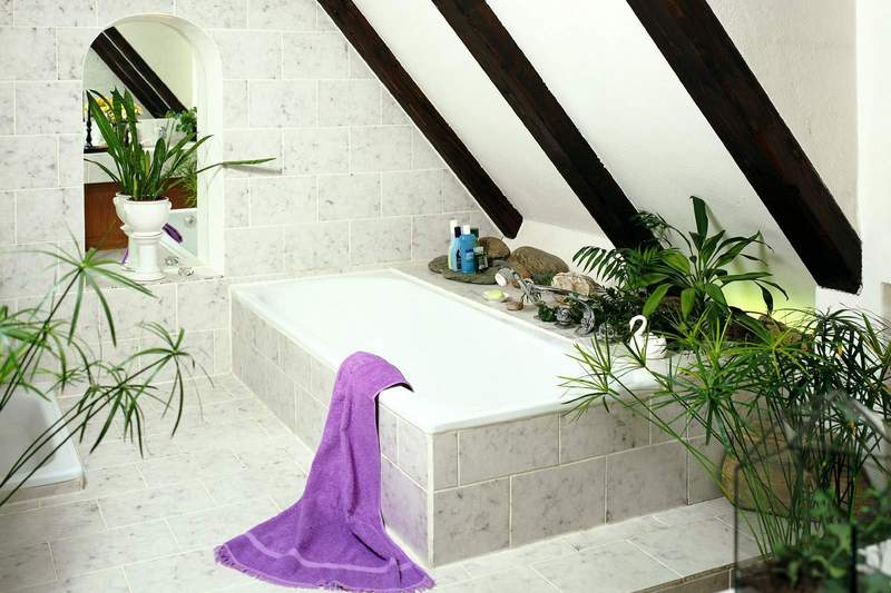 Комнатные растение в ванной