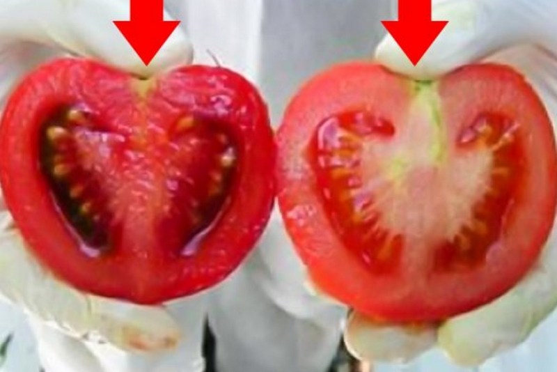 Как выбрать помидоры без нитратов