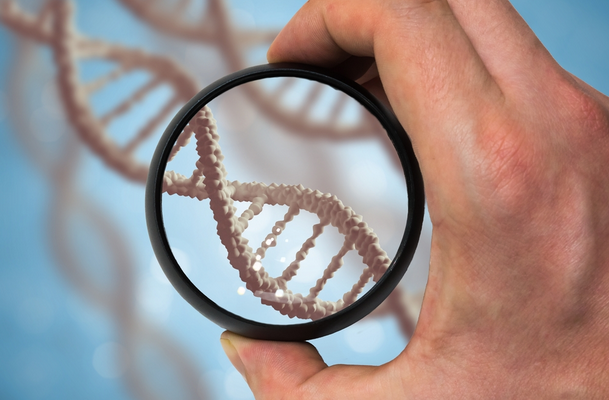 ДНК тест на общего отца: для чего и как проводится?