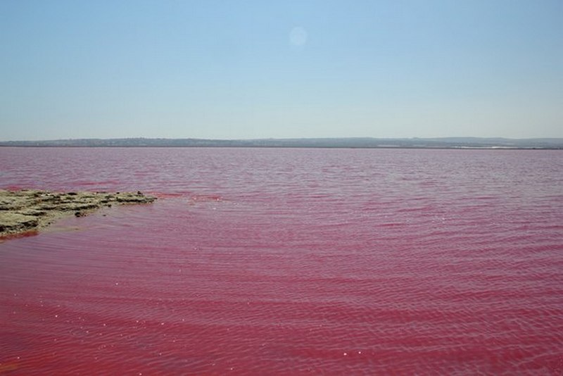 Стоит посмотреть: Розовое озеро в Исспани