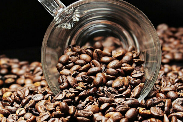 Какими бывают кофейные зерна и в чем разница