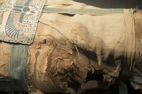 Ученые обнаружили рак у древней мумии и заявили, что это искусственная болезнь
