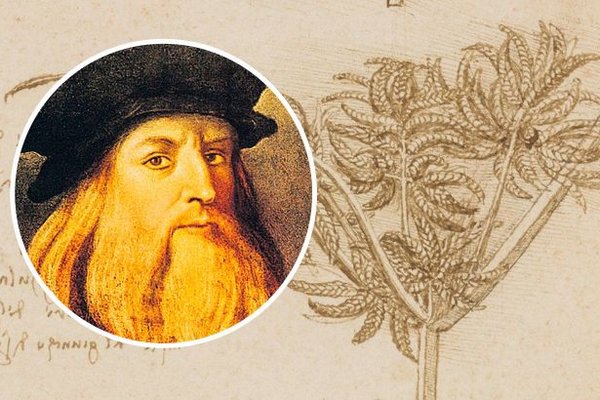 Ошибка Леонардо да Винчи. Ученые опровергли известную теорию изобретателя