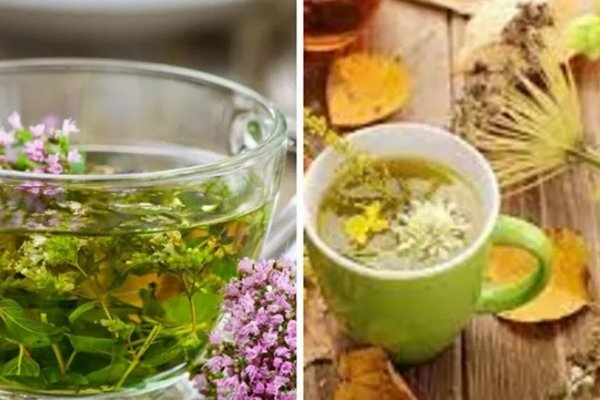 Как выбрать травяной чай, чтобы не навредить: полезные советы
