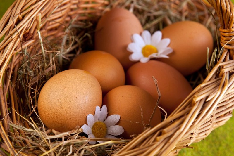 6 полезных свойств куриных яиц, о которых важно знать!