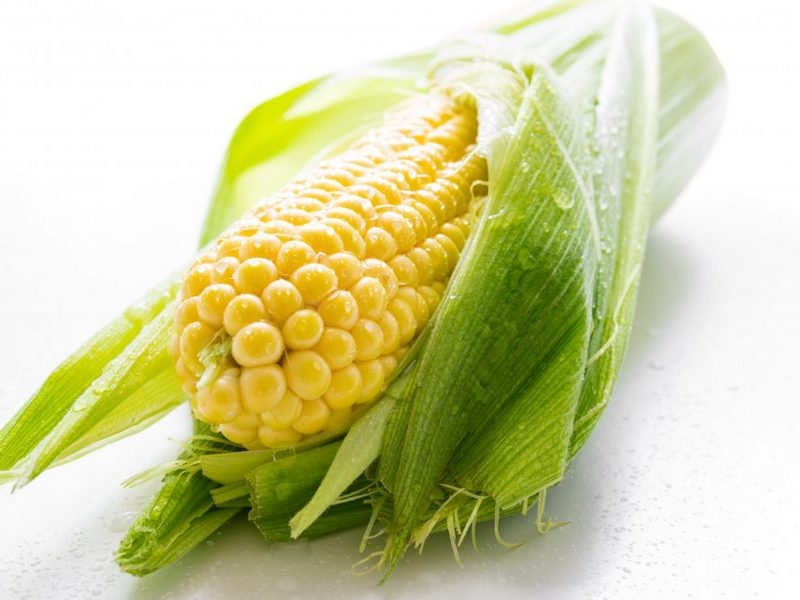 Кукуруза: Описание, лечебные свойства