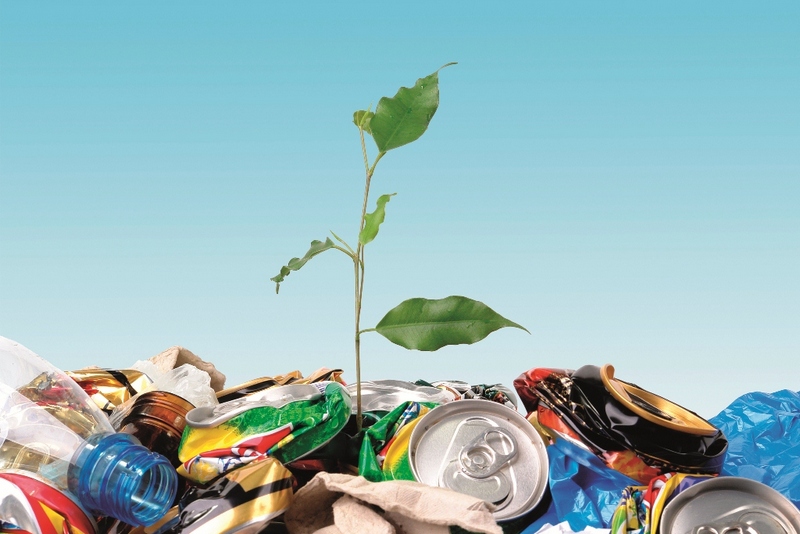 Как происходит утилизация опасных отходов без вреда экологии