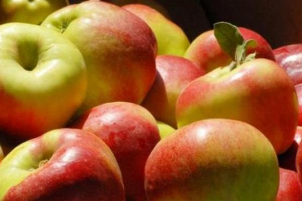 Яблоко - продукт октября