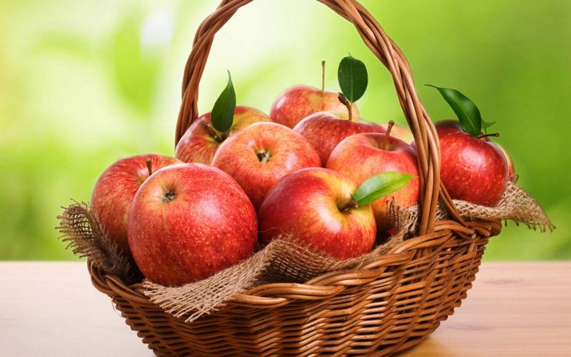 Такие полезные и вкусные яблоки