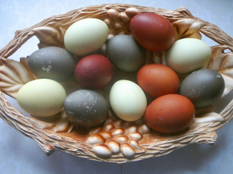 Красим пасхальные яйца натуральными красителями