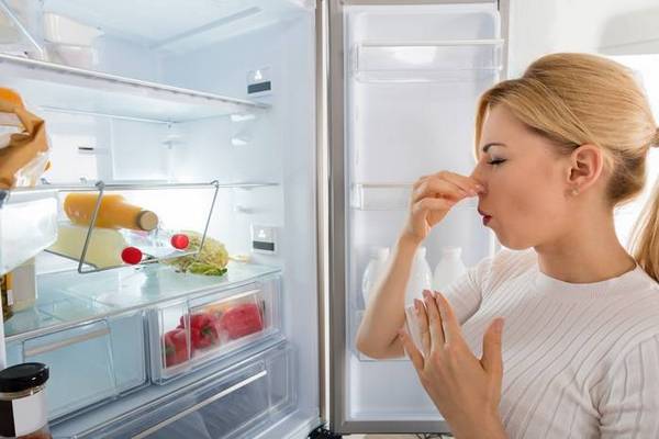 Как избавиться от неприятного запаха из холодильника: ТОП-5 проверенных советов