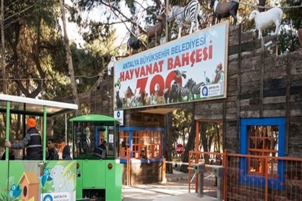 В Анталии из-за пожаров закрыли один из крупнейших в Турции зоопарков