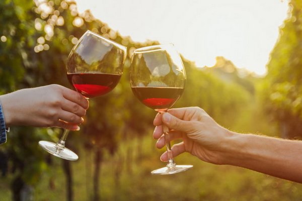 Врачи рассказали, как умеренное потребление вина влияет на организм