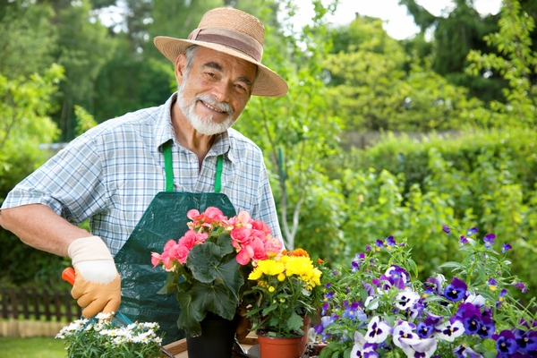 В каких случаях следует обращаться за квалифицированной помощью к садовнику?