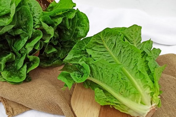 Чем отличается салат-ромэн от кочанного салата?