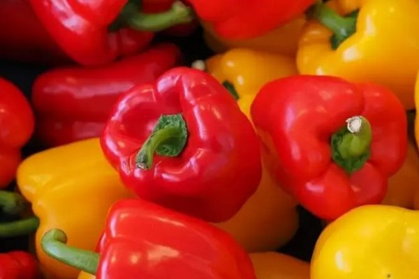 Пять самых полезных для здоровья овощей