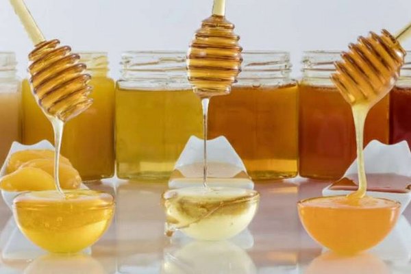 Названы самые полезные виды меда: заменяют лекарства