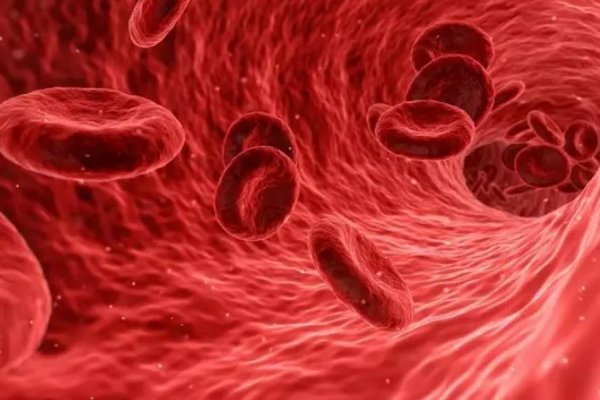 Три лучших способа поднять гемоглобин