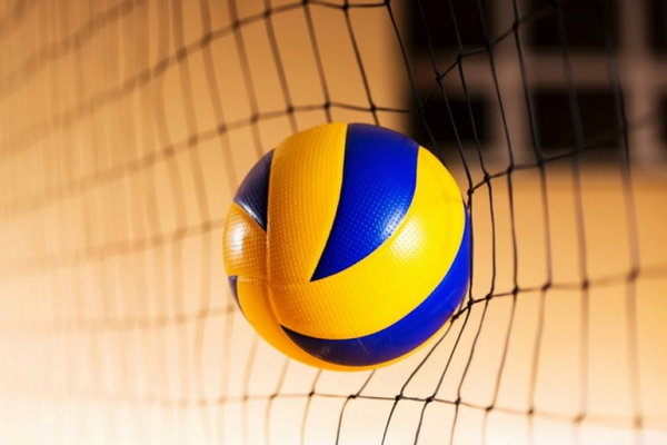 Советы по ставкам на волейбол от профессионалов - Почему бетторы выбир