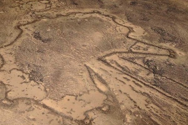 Воздушные змеи пустыни. Как выглядели смертельные ловушки для животных в древности