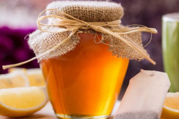 Послабляющий сок бузины с мёдом (рецепт словацкого целителя Зола Кубичко)