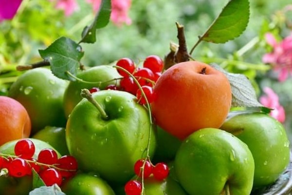 Медики назвали фрукты, которые вредят печени и могут привести к ее болезням