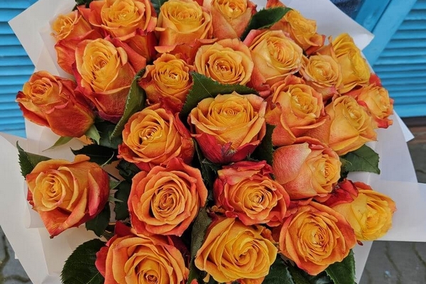 Шикарные розы с доставкой в Киеве от Camellia