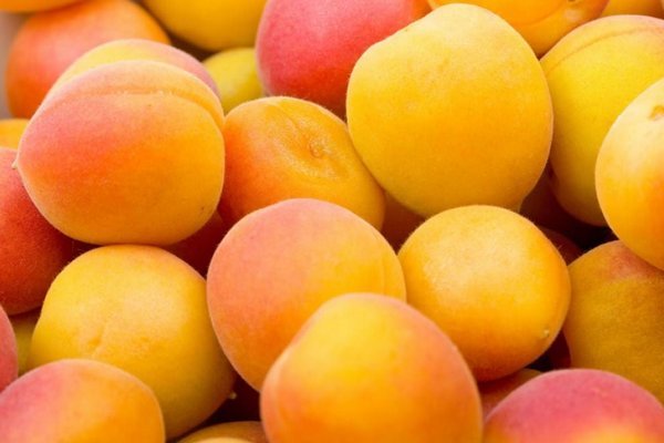Что приготовить из абрикосов: и это не варенье