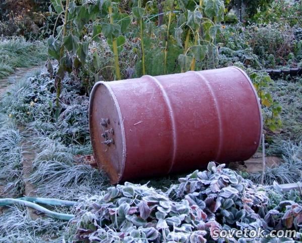 Ошибки при подготовке сада к зиме: садовые конструкции, постройки и оборудование