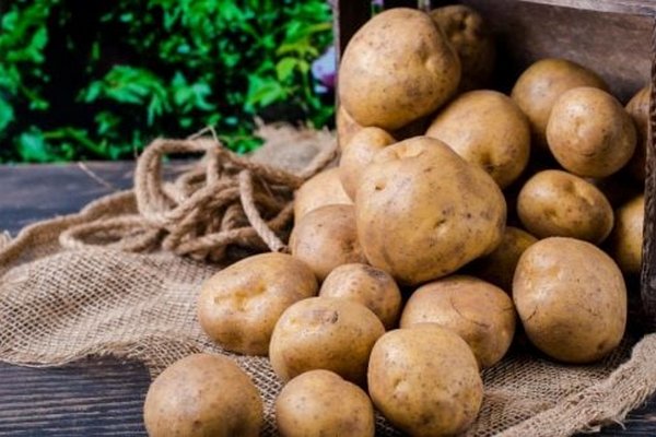 Где нельзя хранить картошку зимой: полезные советы