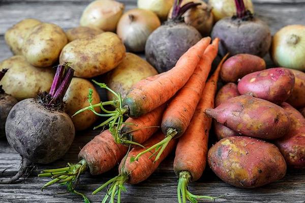 3 главных шага осенью: Как сохранить картофель и морковь до весны без гнили и прорастания
