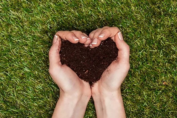 Как превратить «бесплодную» глину в чернозем: 2 главных компонента для рыхлой почвы