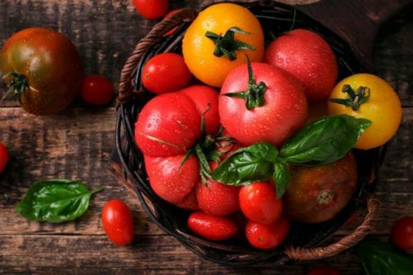 2 рекордных сорта томатов, которые бьют все рекорды урожайности: Высаживаю третий год подряд!