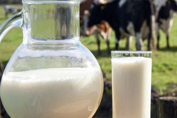 Развенчан миф: Цельное молоко для детей так же полезно, как и обезжиренное