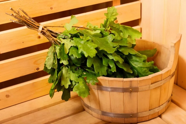 Веники для русской бани: оптовые поставки от «ВеникОпт»