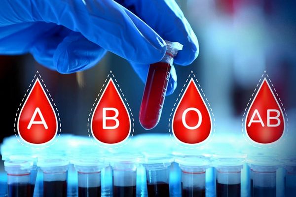 Связь группы крови и здоровья: какая группа повышает риск инфаркта, инсульта и рака желудка